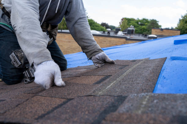Best Sealant for Roof  in Marienville, PA