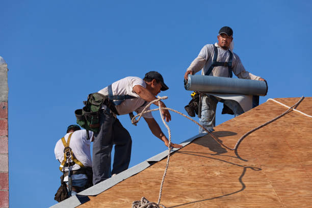 Best Roof Restoration Services  in Marienville, PA