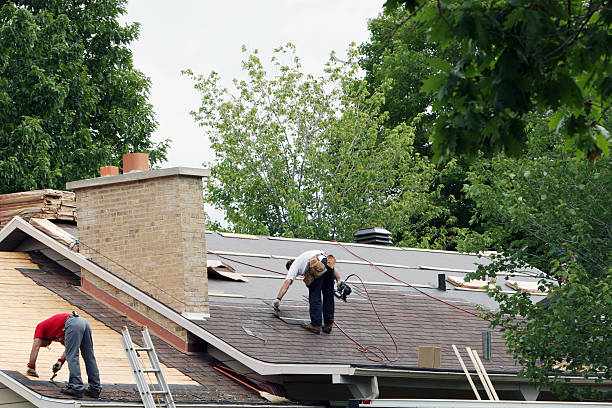 Best Roof Repair Services  in Marienville, PA