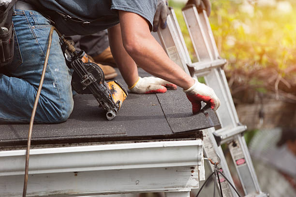 Best Roof Gutter Cleaning  in Marienville, PA