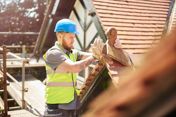 Best Roof Maintenance Services  in Marienville, PA