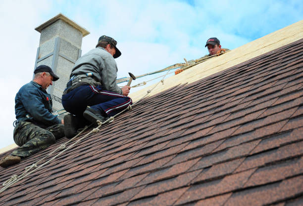 Best Commercial Roofing Services  in Marienville, PA