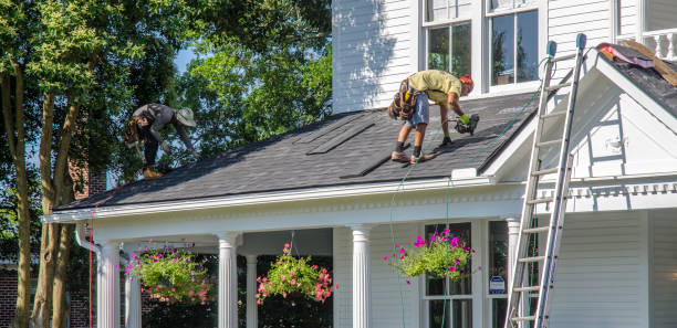 Best Roof Repair Services  in Marienville, PA